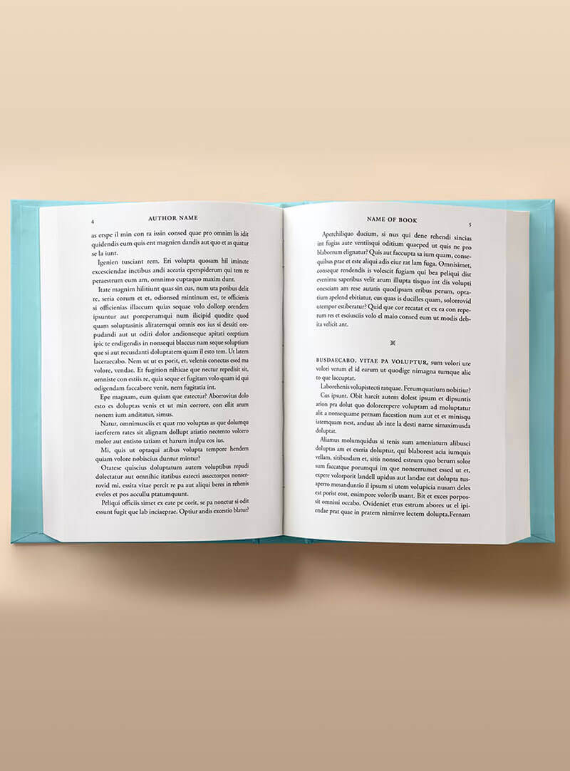 formatting service 1b